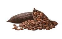 Cocoa