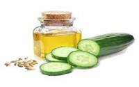 Cucumber