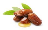 Jojoba