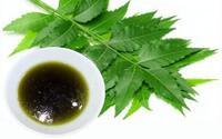 Neem Oil & Leaf