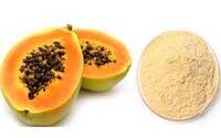 Papaya Powder
