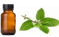 Tulsi Oli & Leaf