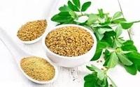 Fenugreek
