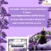 Royal Lavender Handmade Luxury Bar with Real Lavender | 100gm - Image 6